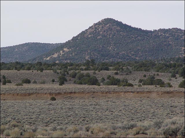 opdeva_102.jpg
