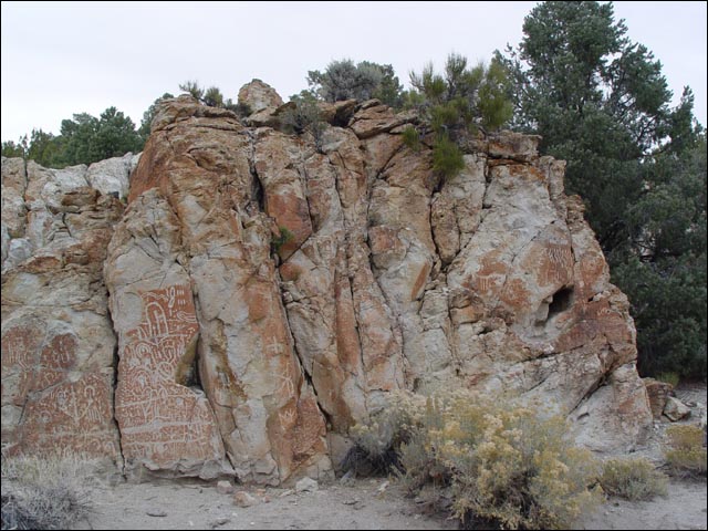 opdeva_106.jpg