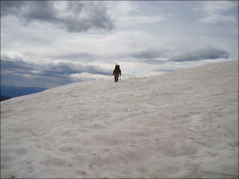 expo-solitude_1.jpg