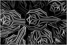 patches